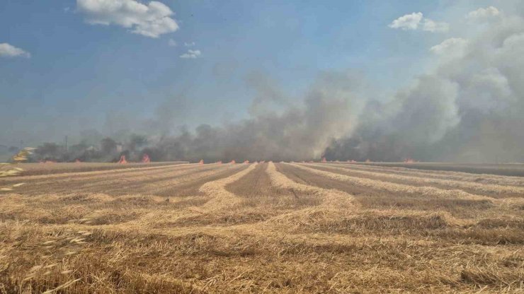 Tekirdağ’da 2 farklı noktada çıkan yangın söndürüldü: 700 dönümlük alan ve 20 konteyner kül oldu