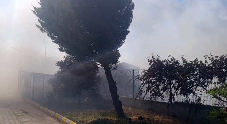 Tekirdağ’da tarım arazisinde başlayan yangın: Alevler 4 farklı noktaya sıçradı
