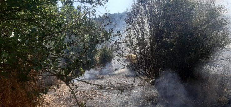Bilecik’te otluk alanda yangın çıktı