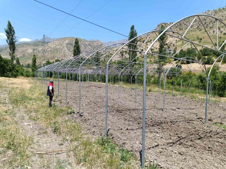 Şırnak’ta sera yatırımları yerinde incelendi