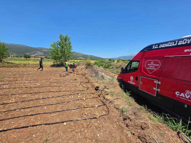 Denizli Büyükşehir tarlalara soğuk su ve limonata ulaştırdı