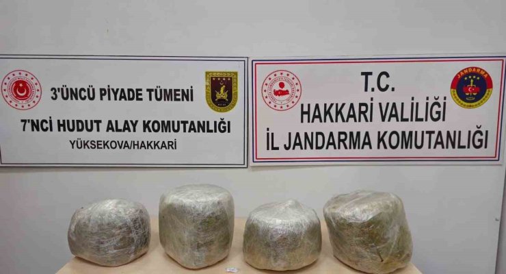 Yüksekova’da 11 kilo skunk ele geçirildi