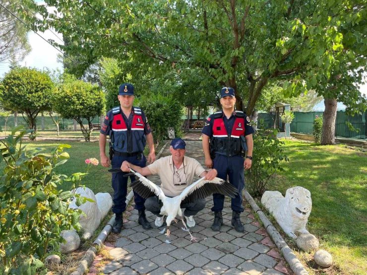 Yaralı leylek için seferber oldular