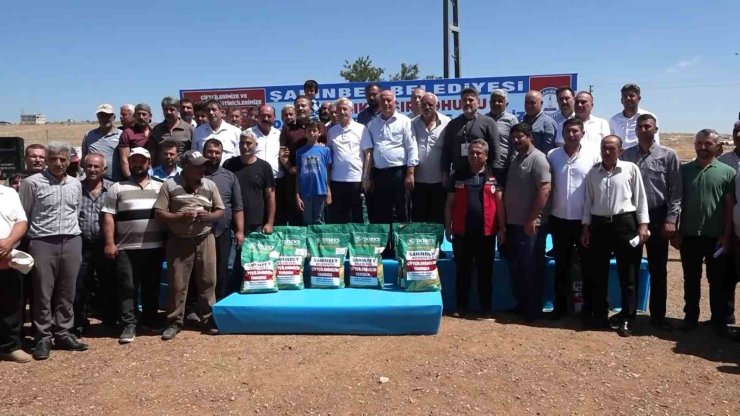 Şahinbey Belediyesinden çiftçilere sertifikalı silajlık mısır tohum