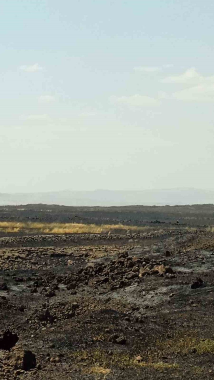 Mardin’de çıkan anız yangını söndürüldü