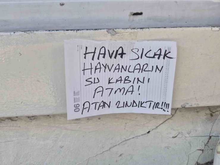 Sokak hayvanlarının su kabını atanlara ilginç tepki: "Atan zındıktır"