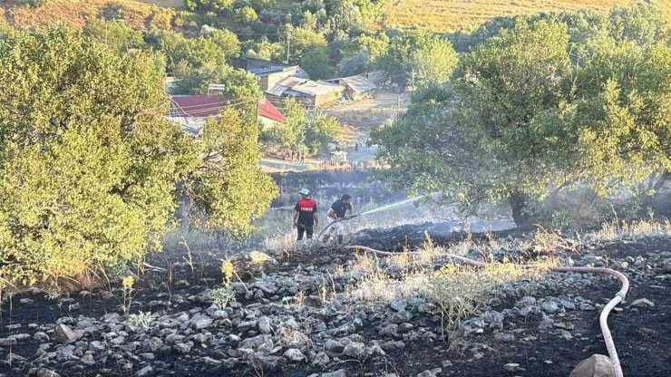 Elazığ’da arazi yangını