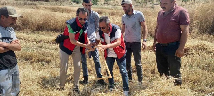 Tavşanlı’da biçerdöver kontrolleri sürüyor