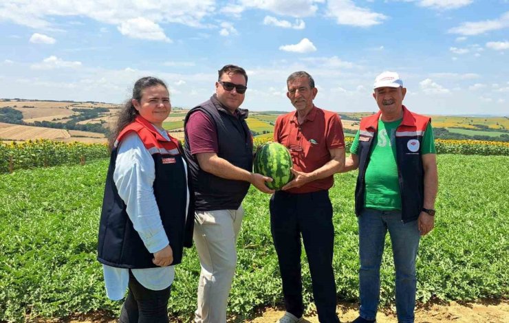 Tekirdağ’da ilk karpuz hasadı başladı
