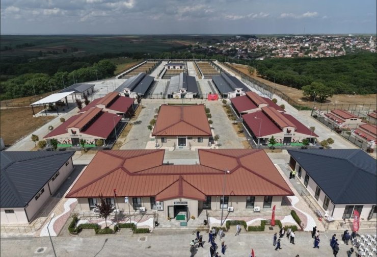 Tekirdağ’da 5 binden fazla sahipsiz hayvana umut oldular