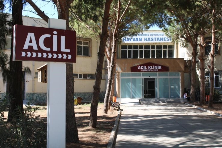 ADÜ Hayvan Hastanesi’nde online randevu dönemi başladı