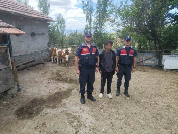 Hayvanlarını kaybeden çiftçinin yardımına Jandarma ekipleri koştu