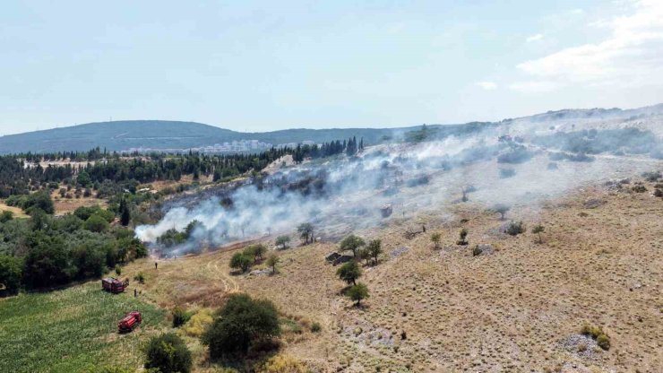 Menteşe’deki makilik yangını kontrol altına alındı