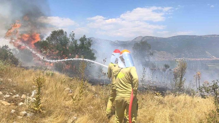 Menteşe’de makilik yangını
