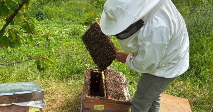 Artvin’de bal hasat sezonu öncesi üreticilerle buluşma