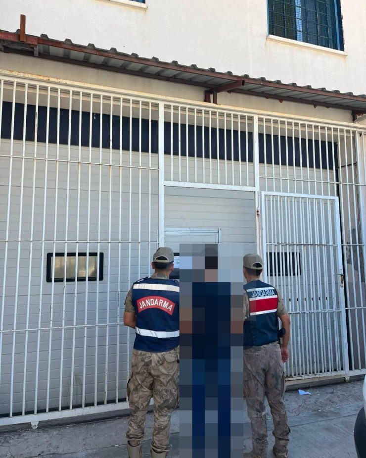 Jandarma aranan 2 şahsı yakaladı