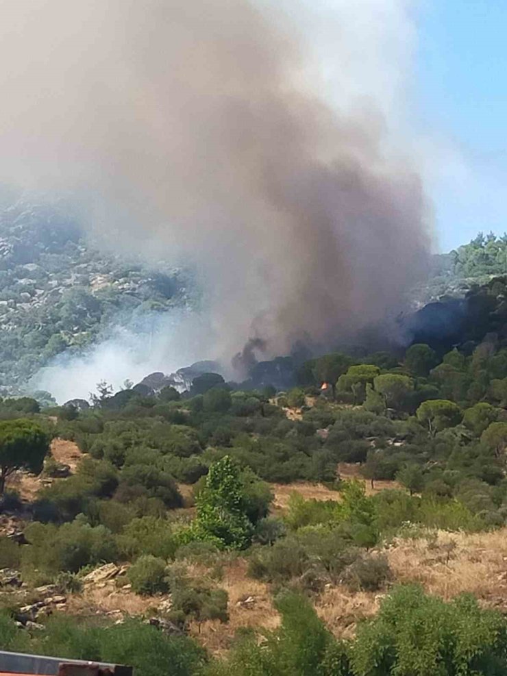 Muğla’da orman yangını