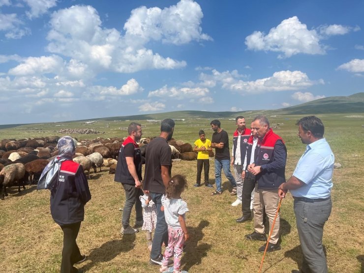 Kars’ta yaylalarda hayvancılığa yakın takip