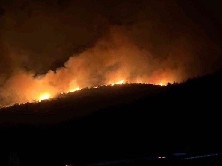 Milas’ta alevler geceyi aydınlattı