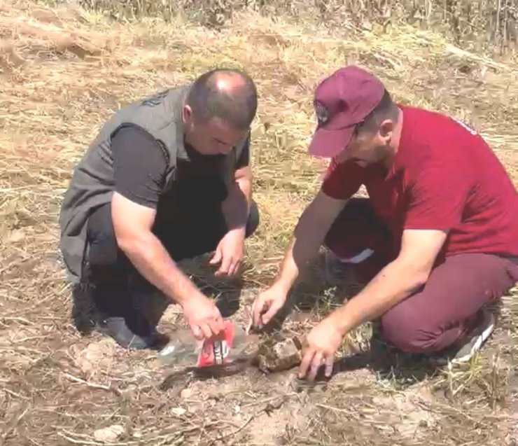 Emet’te alevlerin arasından kurtarılan kaplumbağa yürekleri ısıttı