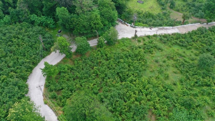 Ordu’da beton yol çalışmaları