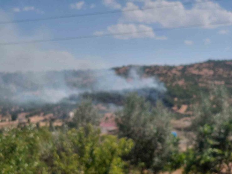 Dicle’de örtü yangını