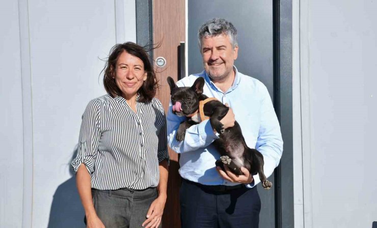 Şiddet gören köpeği Başkan Mesut Akbıyık sahiplendi