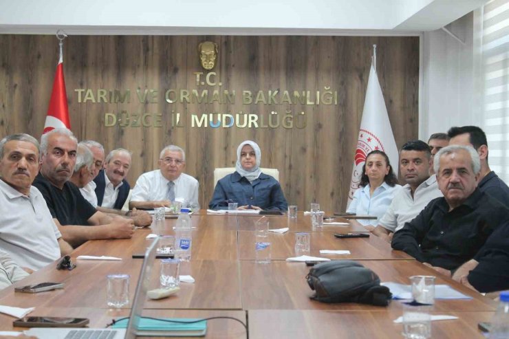 Düzce’de fındık rekolte tahmin çalışmaları değerlendirildi