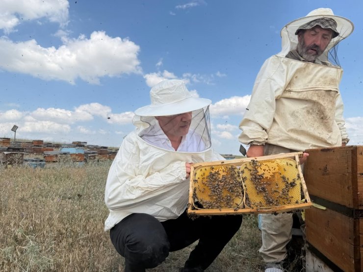 Tarım ve Orman Müdürü Aydın, Kars yaylalarında arıcılarla buluştu