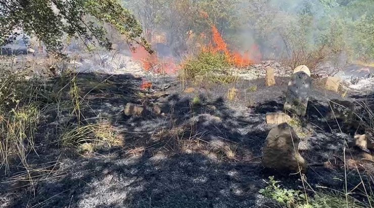 Bitlis’te peş peşe çıkan yangınlar paniğe neden oldu
