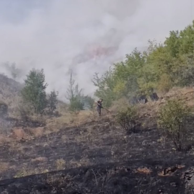 Çankırı’da çıkan arazi yangını söndürüldü