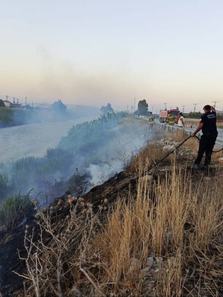 Antakya’da Asi Nehri kenarında sazlık yangını
