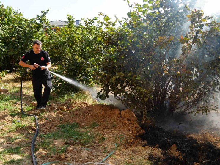 Düzce İtfaiyesi 3 ayda 300 anız yangınına müdahale etti