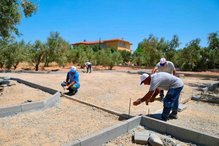Didim’de Zeytin Park Projesi hayata geçirilecek