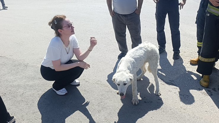 Mahsur kalan köpeğin sesini sadece o duydu, kurtarıldığında gözyaşlarına boğuldu