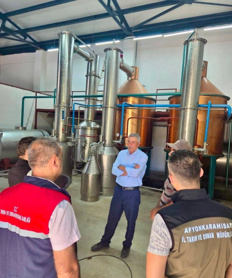Tıbbi aromatik bitki üretimi için saha çalışmaları sürüyor