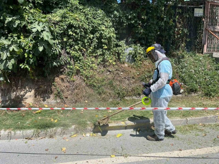 İBB’nin sorumluluğundaki yollarda otlar metrelerce uzadı, temizliği Beykoz Belediyesi yaptı