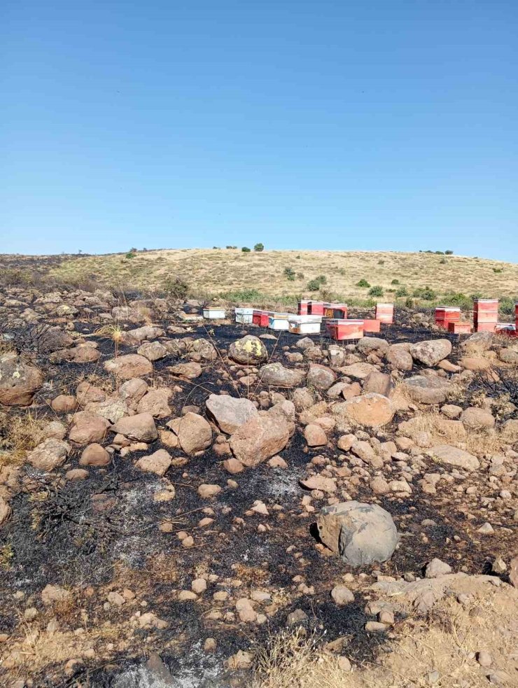 Elazığ’da arazi yangını: Arı kovanları zarar gördü