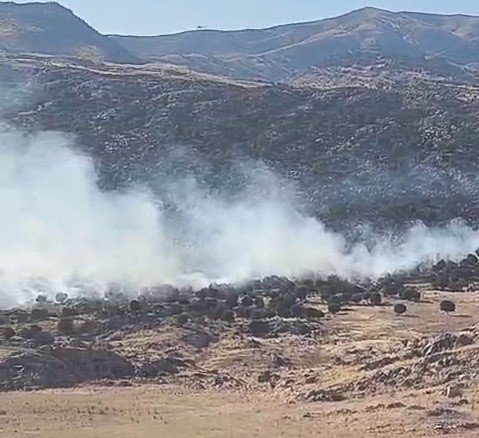 Adıyaman’da ormanlık alanda yangın