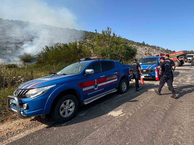 Biçme makinesinden çıkan kıvılcım ormanı yaktı, aracın operatörü gözaltına alındı