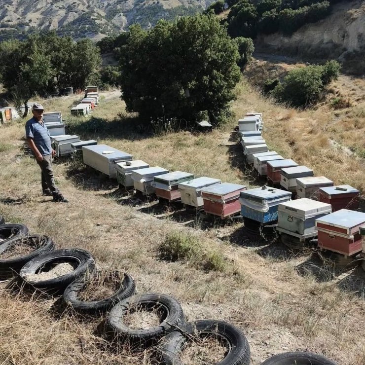 Burdur’da arılı kovanlar denetleniyor
