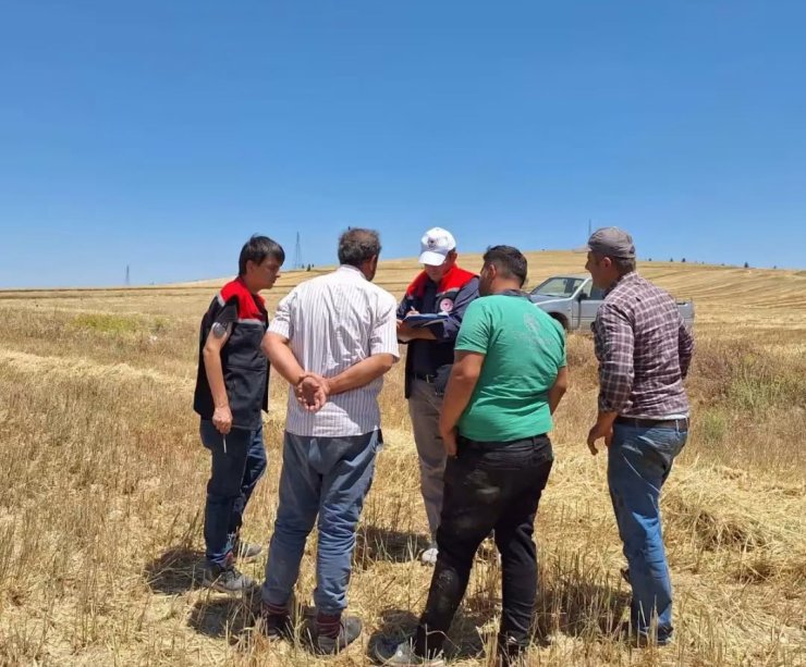 Burdur’da biçerdöverler denetleniyor