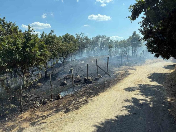 Çanakkale’de tarım arazisinde çıkan yangın kontrol altına alındı
