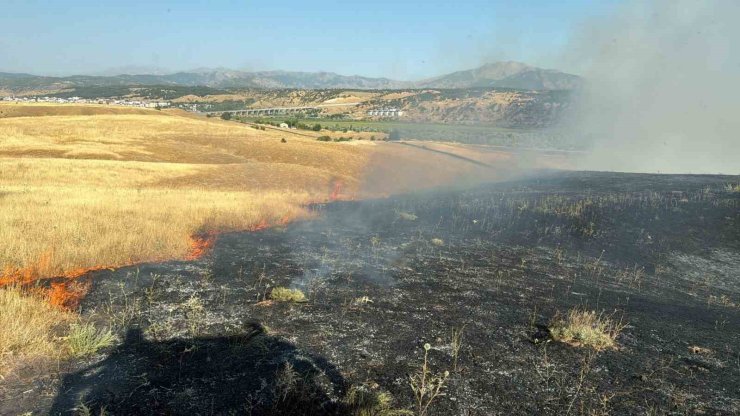 Bingöl’de çıkan arazi yangını söndürüldü