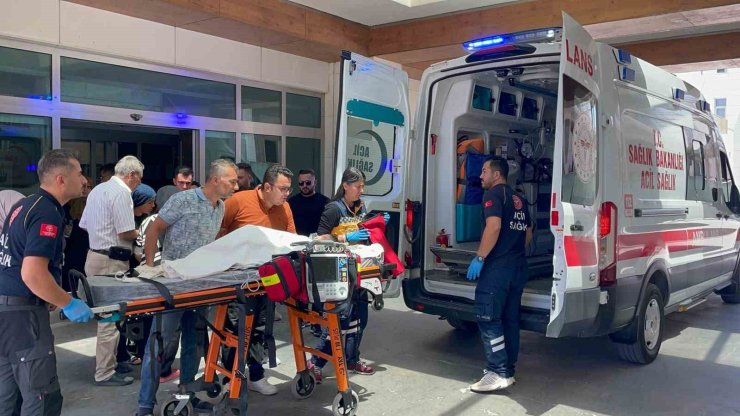 Karaman’da köpek dehşeti: 3 yaşındaki çocuk ağır yaralandı