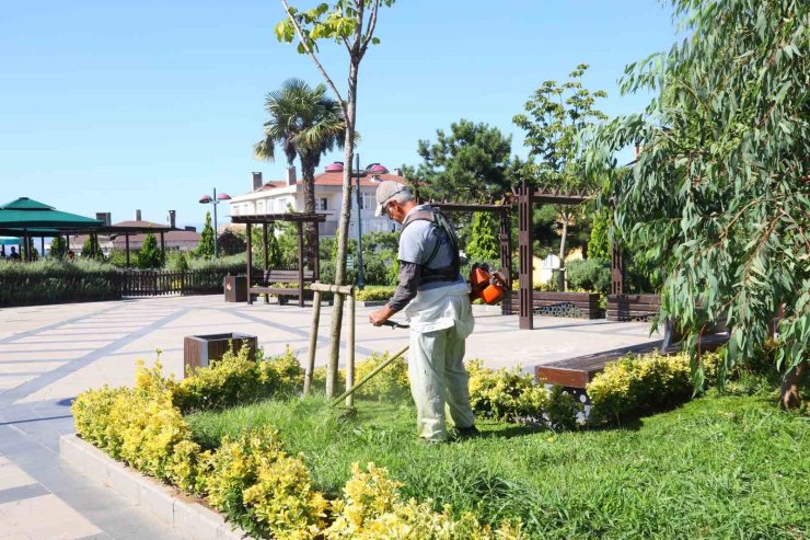 Darıca’da cadde ve sokaklar baştan aşağı temizleniyor