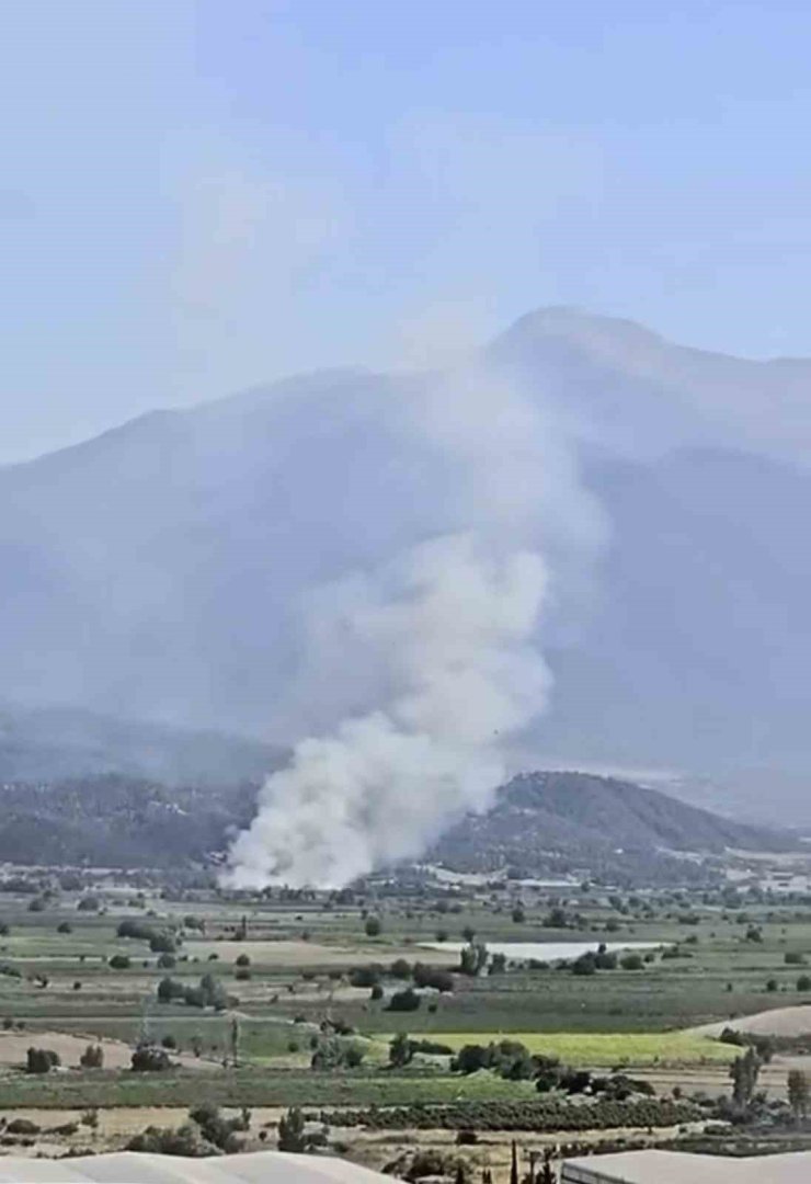 Denizli’de ormanlık alana yakın bölgede arazi yangını çıktı