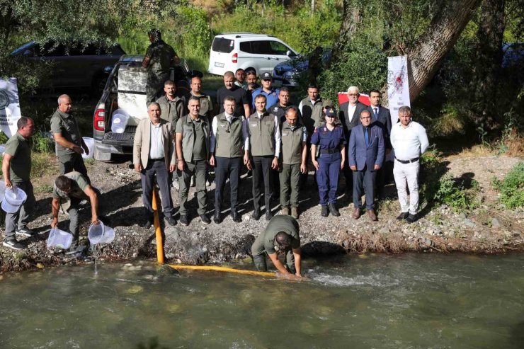 Ecemiş Çayı’na 15 bin alabalık yavrusu bırakıldı