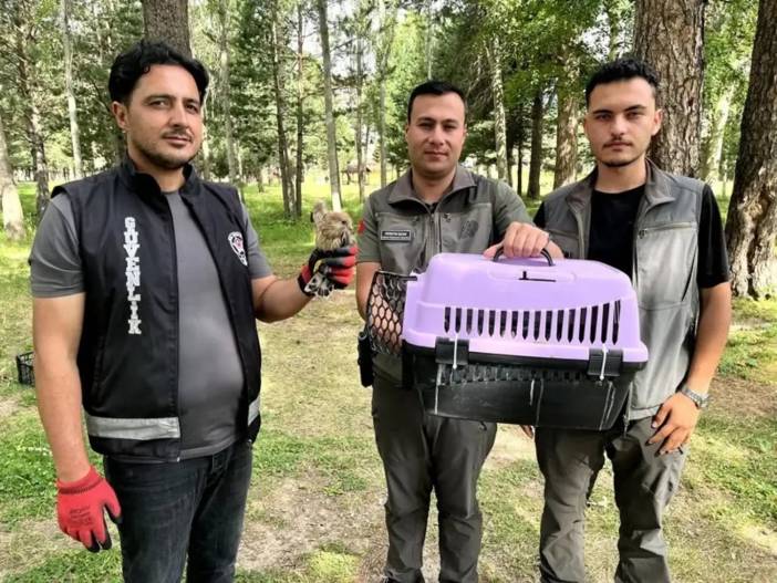 karsmanset-010.jpg