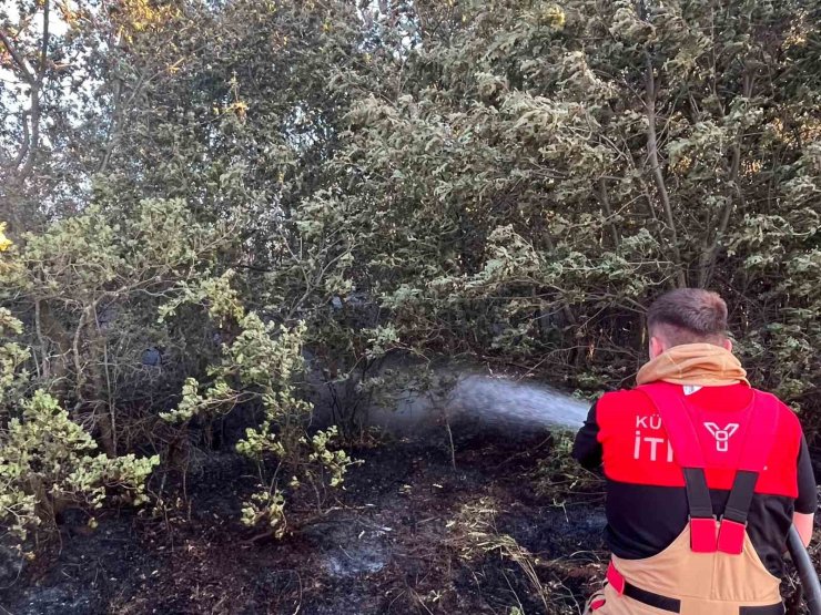 Kütahya OSB İtfaiyesi, Beşkarış ve Aydınlar köyü yangınlarında görev aldı